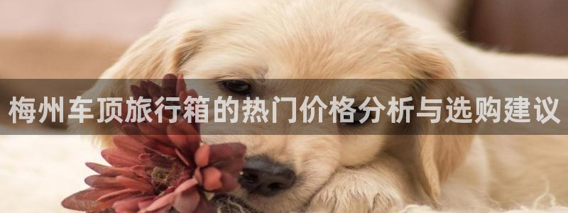 海角社区入口在哪：梅州车顶旅行箱的热门价