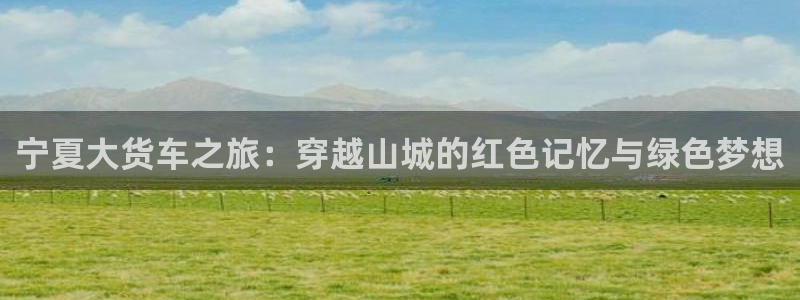 海角社区下载官网：宁夏大货车之旅：穿越山